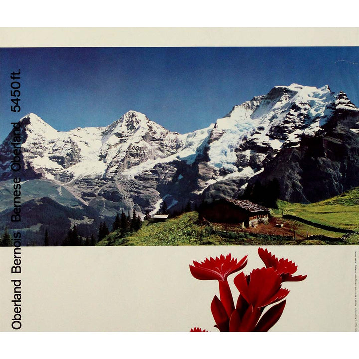 Vintage poster - Swissair, Oberland Bernois, Suisse, Voyagez par