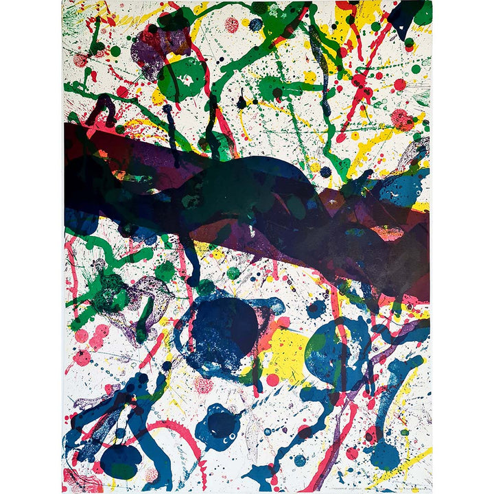 physics of the Void　Sam Francis Sam Francis: Metaphysics Of The Void